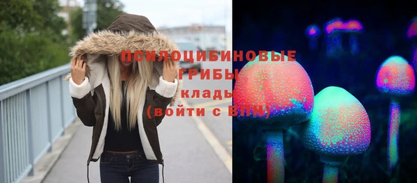 Альфа ПВП Арсеньев