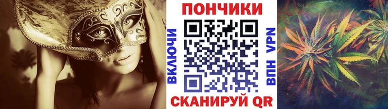 где можно купить   нарко площадка телеграм  Бошки Шишки сатива  Удачный  ОМГ ОМГ ссылки 